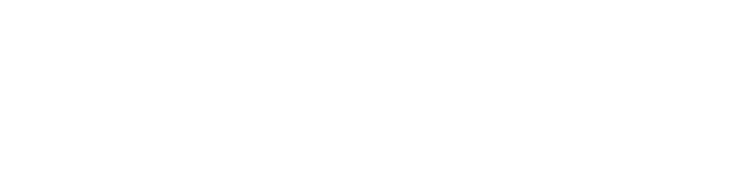 paragon-corp-white.e705509b